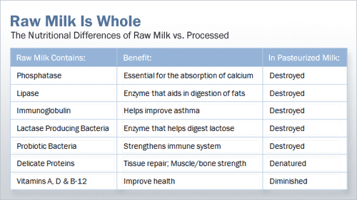 whole-vs-processed-milk